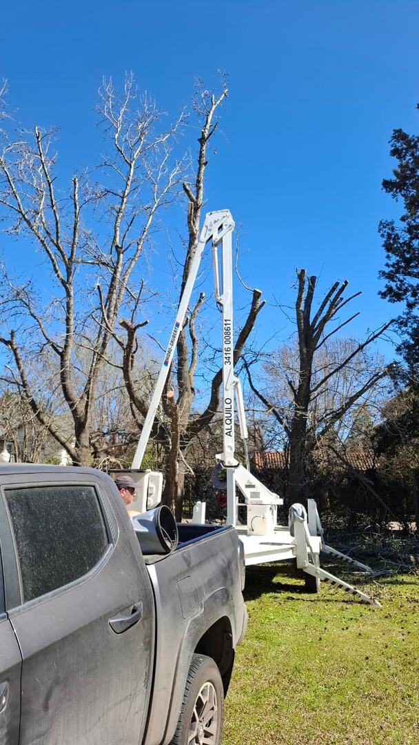 Poda en altura con plataforma elevadora y camioneta de apoyo