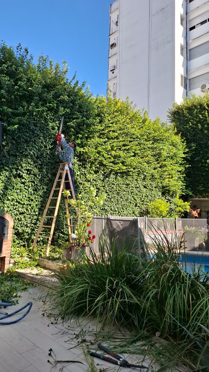 Poda — Ang Garden's, servicio de jardinería en Rosario, Funes y Roldán